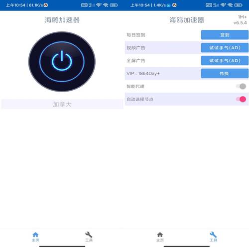 免费加速器永久免费版海鸥加速器男人版