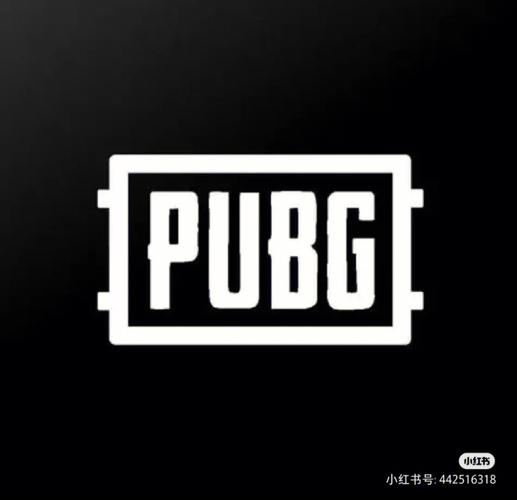 秦风公益直装PUBG