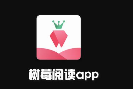 树莓阅读小说免费版破解版永久VIP