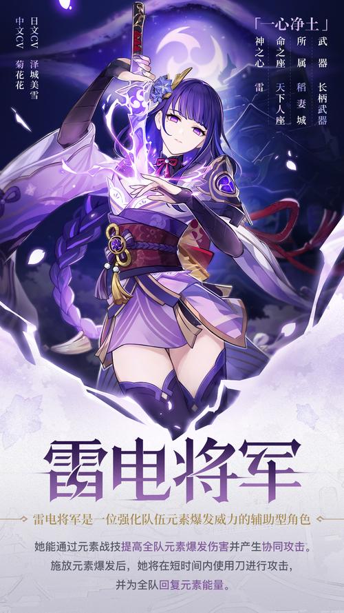 雷电将军的惩罚冷狐版游戏特色和适用人群正版