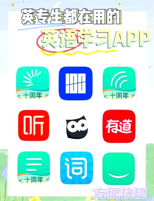 初步学英语什么软件净化版