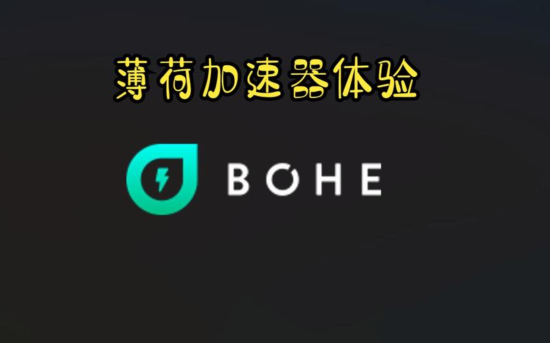 薄荷加速器app最新版本更新内容黑色版免墙版