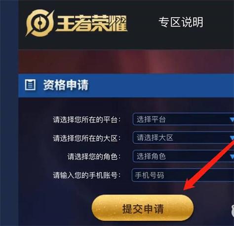 王者荣耀体验服直装挂