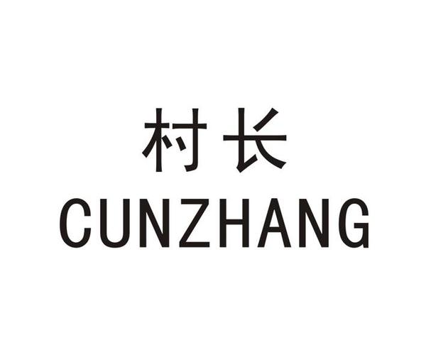 共享村长是谁创办的