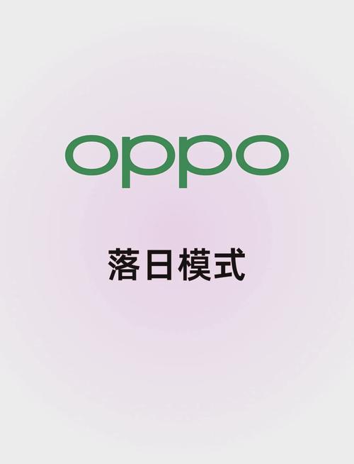 oppose后面跟什么形式