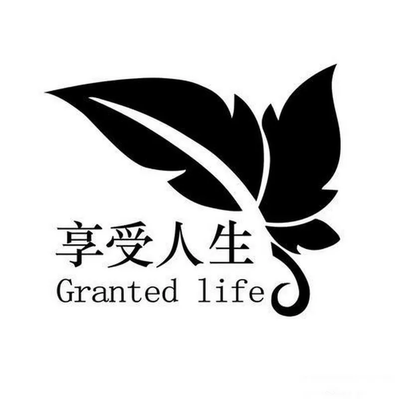 小说,幸福人生