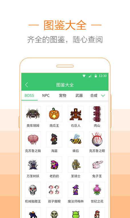 泰拉瑞亚盒子助手下载汉化版