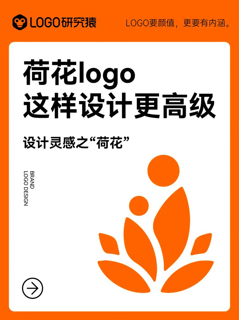 荷花直播最新版本无广告纯净版