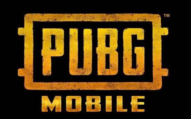 PUBG狮子头公益直装下载安卓版