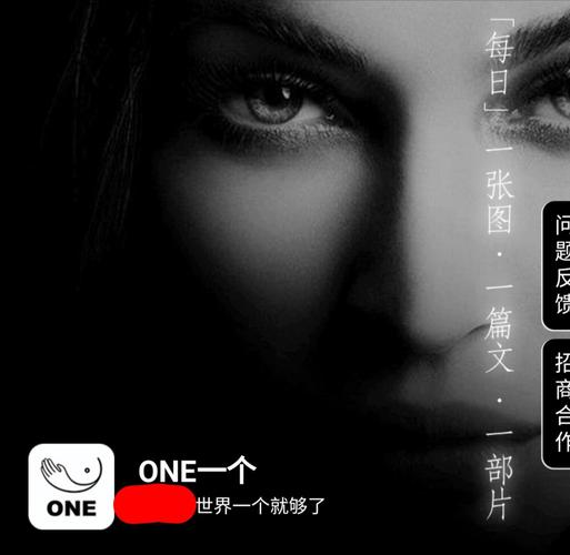 一个就够了致敬韩寒版官网无限能量破解版