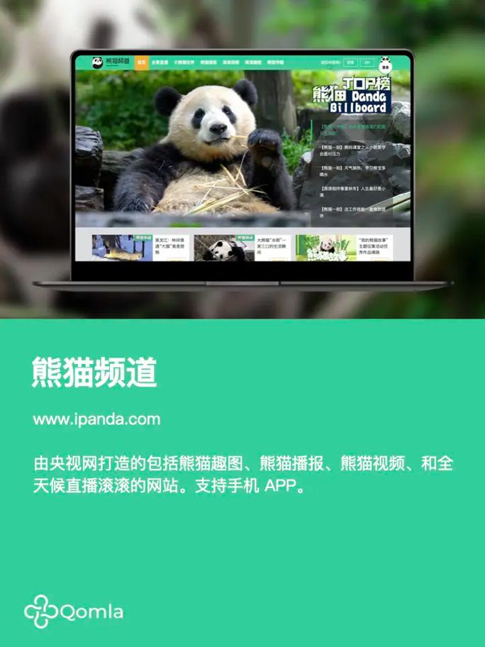 熊猫短视频网页版入口