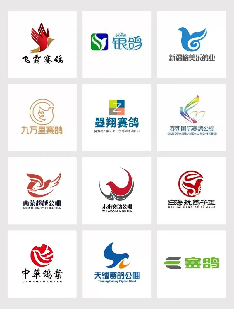 各地赛鸽公棚官网鸽网赛事直播