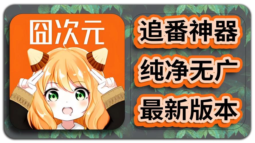 囧次元纯净版安装官方