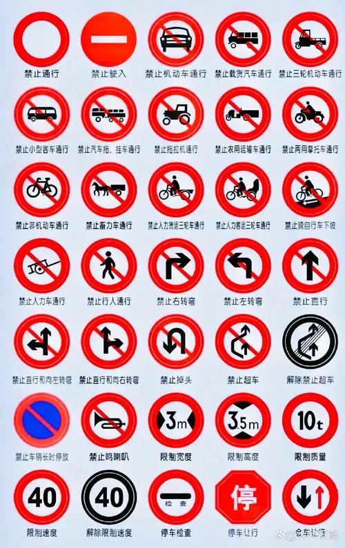 驾驶人前面有个圆圈标志