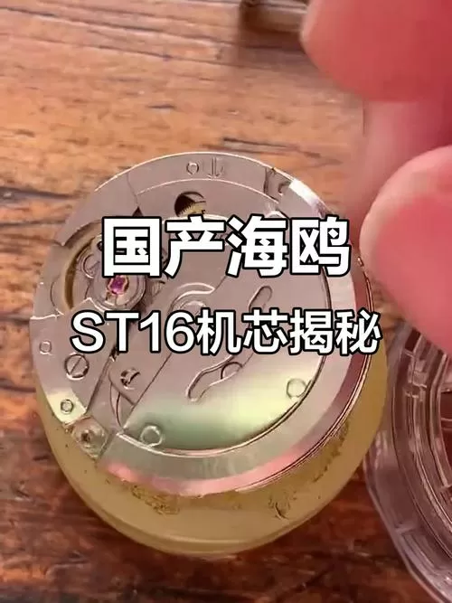 海鸥st16机芯