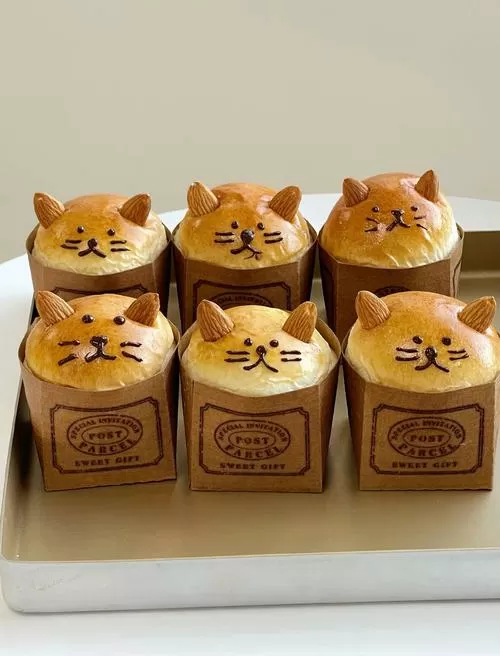 面包涂上黄油放在猫的背上 面包涂上黄油放在猫的背上