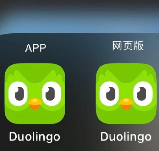 多邻国如何添加好友