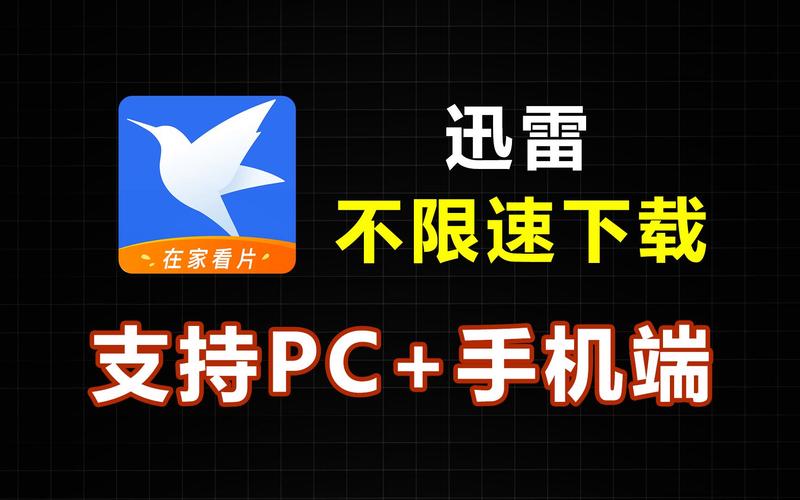 迅雷永不升级版本破解版无限体力 迅雷永不升级版本破解版无限体力
