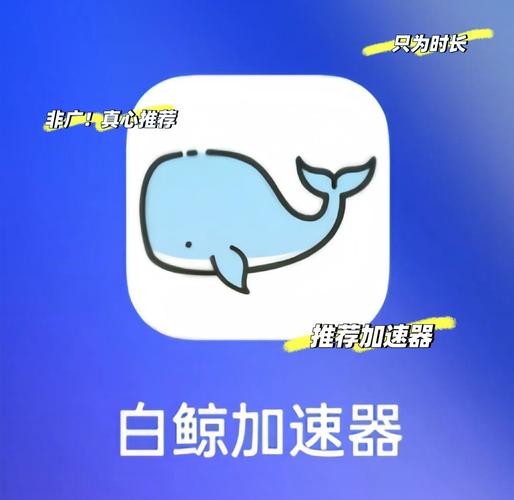 白鲸加速器v1.1