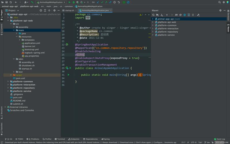 java官方网站下载java轻量版