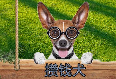 攒钱犬赚钱