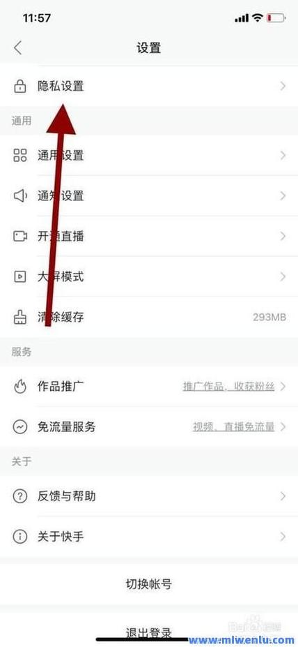 ks快手代网站刷