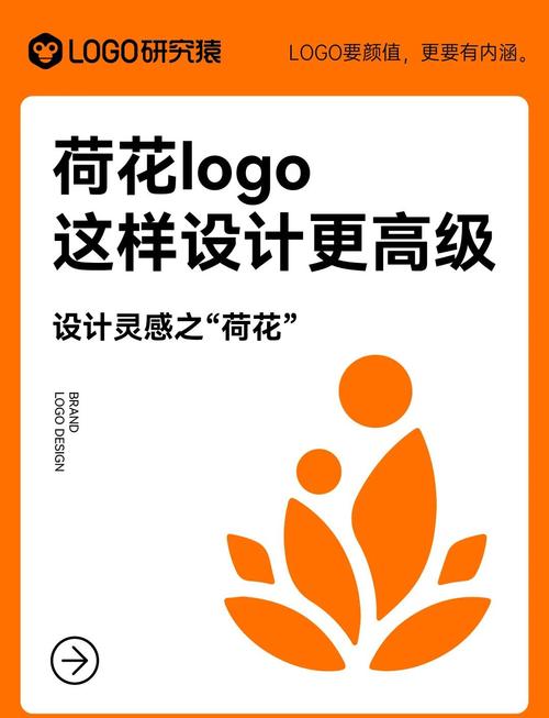 荷花网转发赚钱