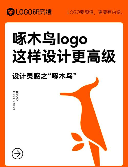 啄木鸟接单 啄木鸟接单