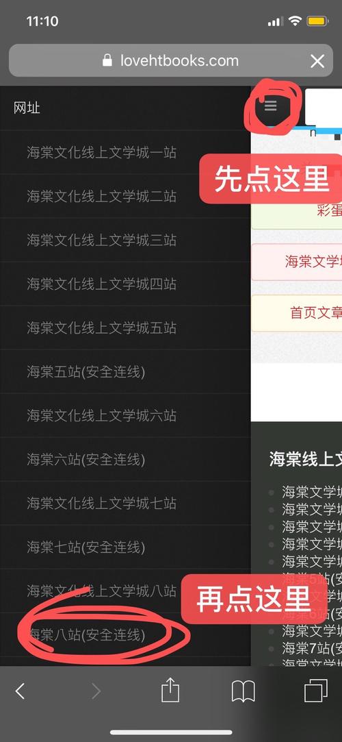 海棠龙马文化线上