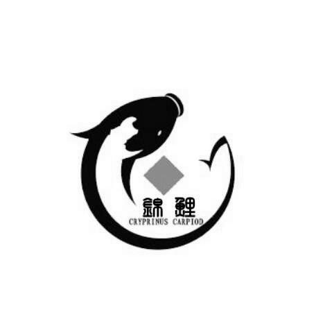 鲤鱼乡2020a
