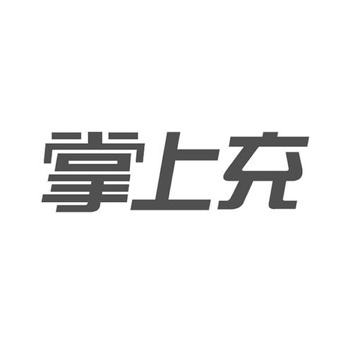 掌充科技