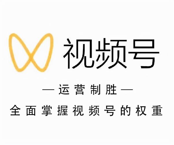 走呗森林运动赚钱