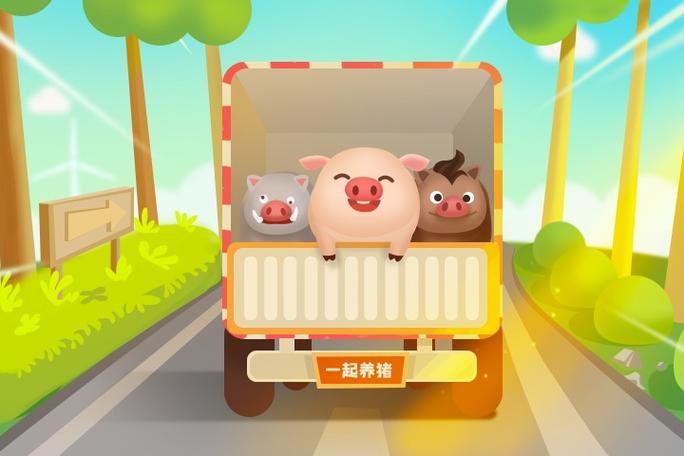 一起来养猪161 一起来养猪161