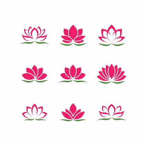 荷花转转发