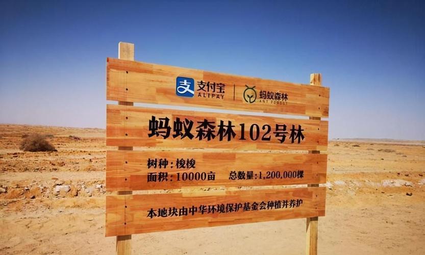 支付宝蚂蚁森林保