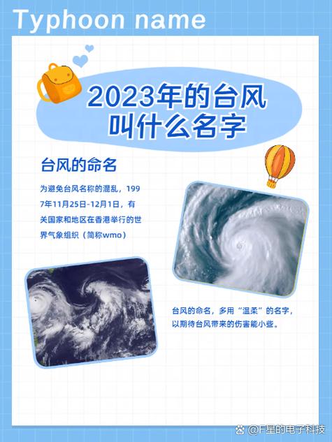 台风视频下载台风视频 最新版v2.4.1 下载