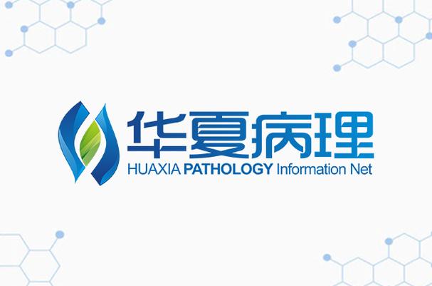 华夏病理手机版