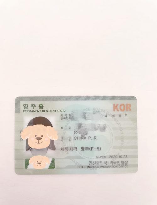 有韩国登陆证可以走韩国人通道吗