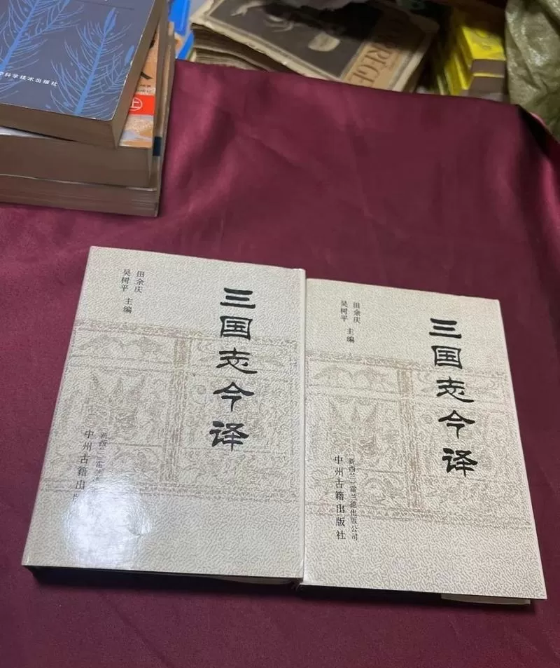 三国发展工业的小说