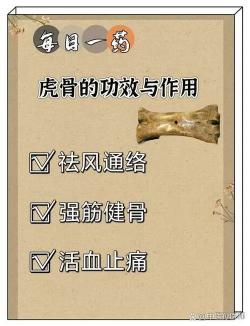 恨虎鸟骨功效与作用
