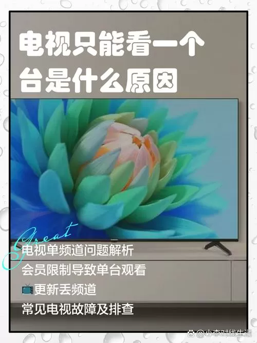 电视机只能看一个台是怎么回事